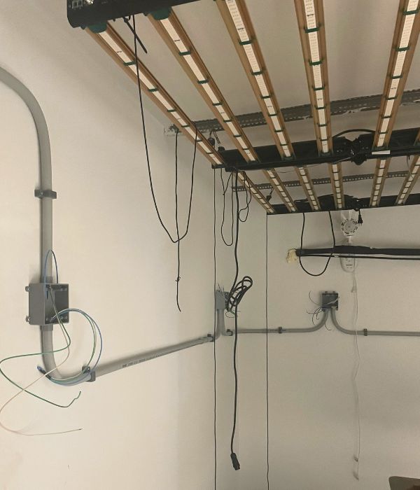 Upgrade Services Grow Room Electrical Installation